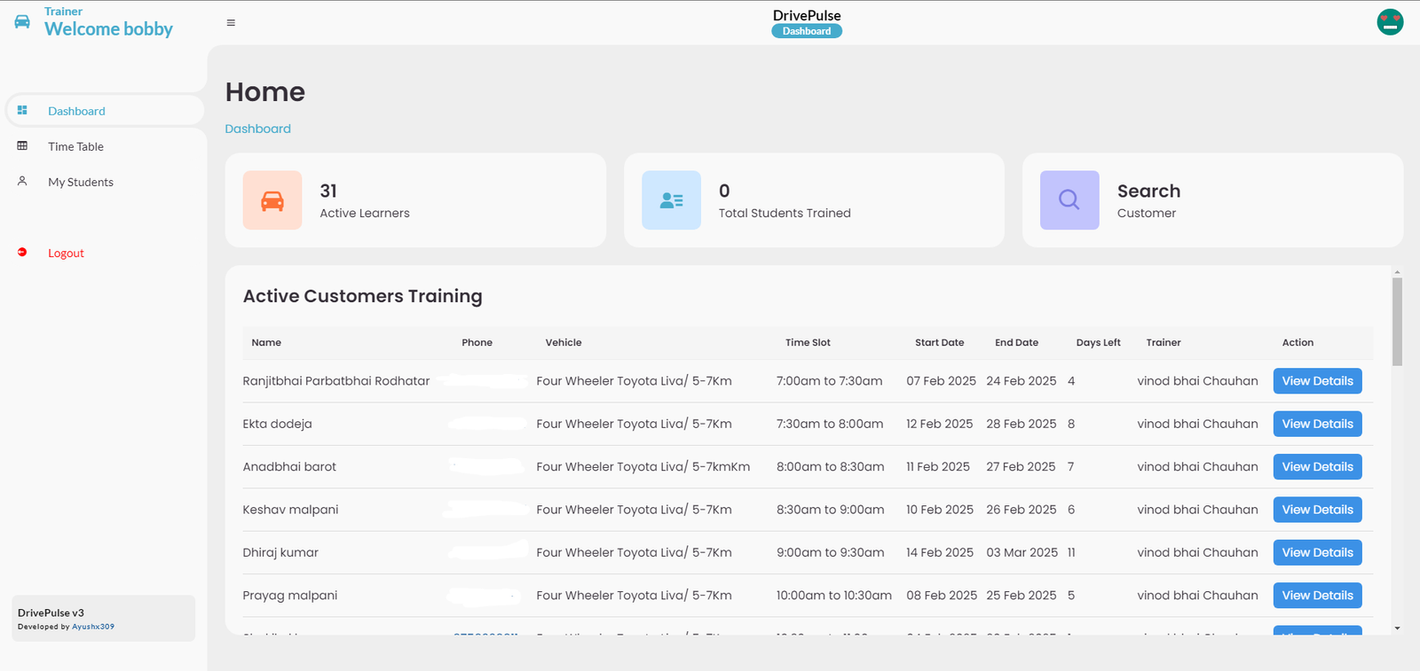 DrivePulse Interface